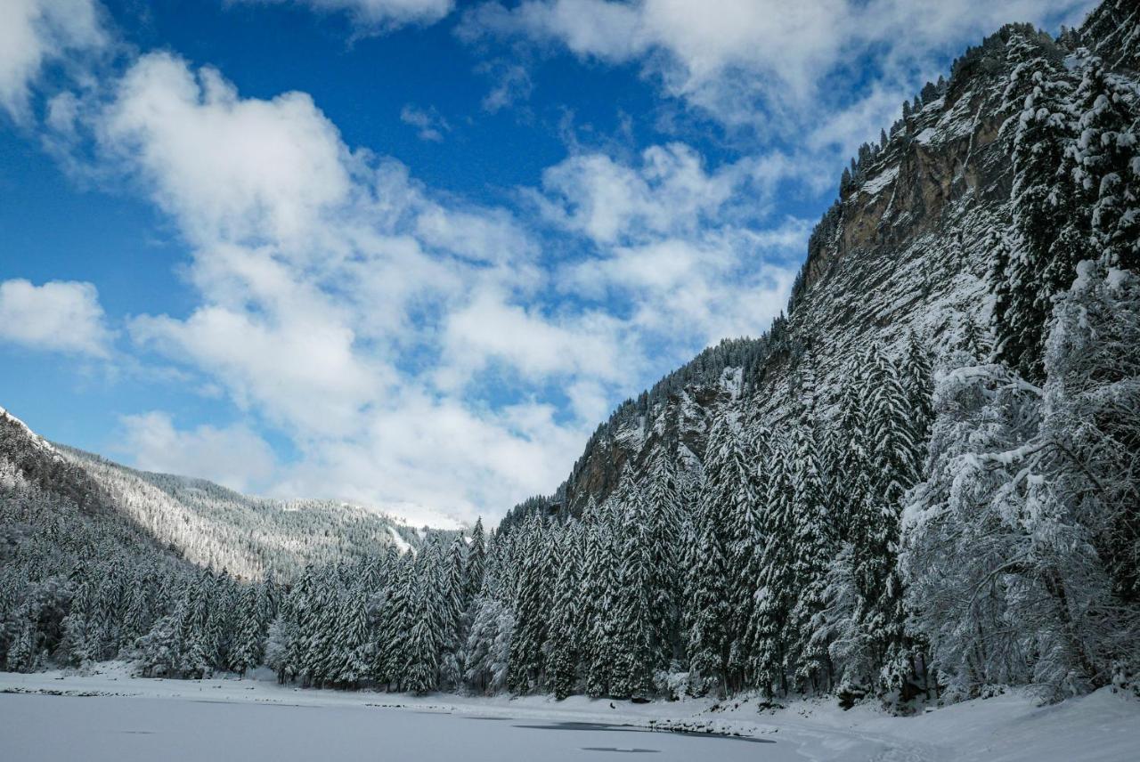 Hotel Du Lac Montriond Ngoại thất bức ảnh